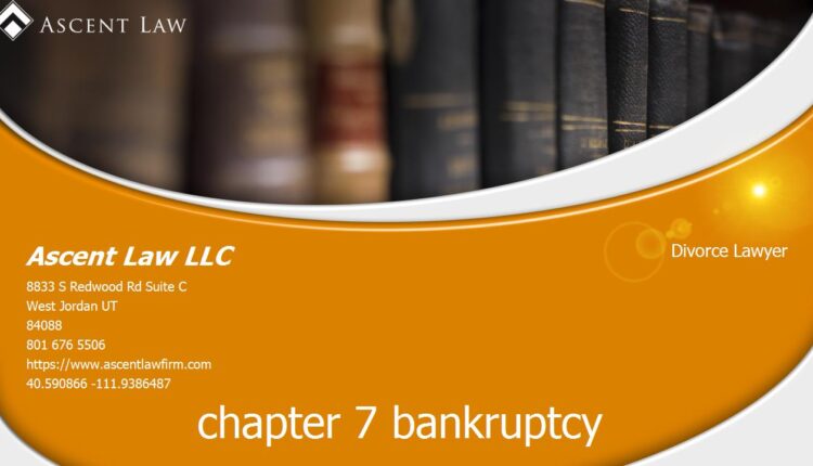 Bankruptcy Lawyer Near Mapleton Utah