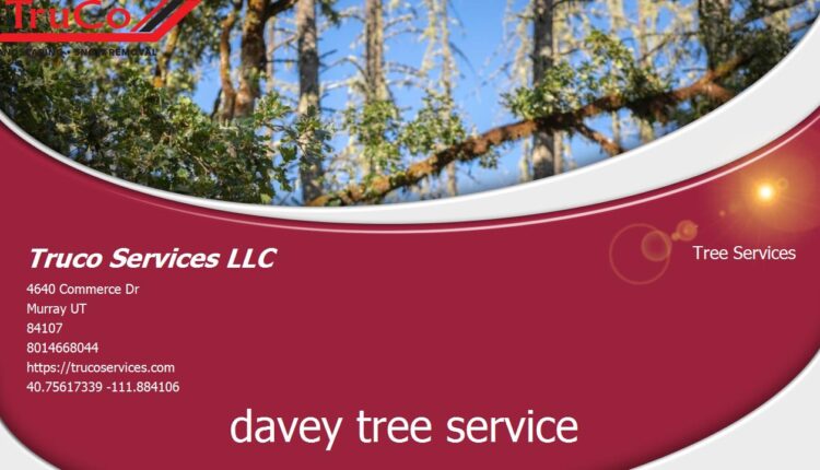 Best Tree Expert South Jordan UT