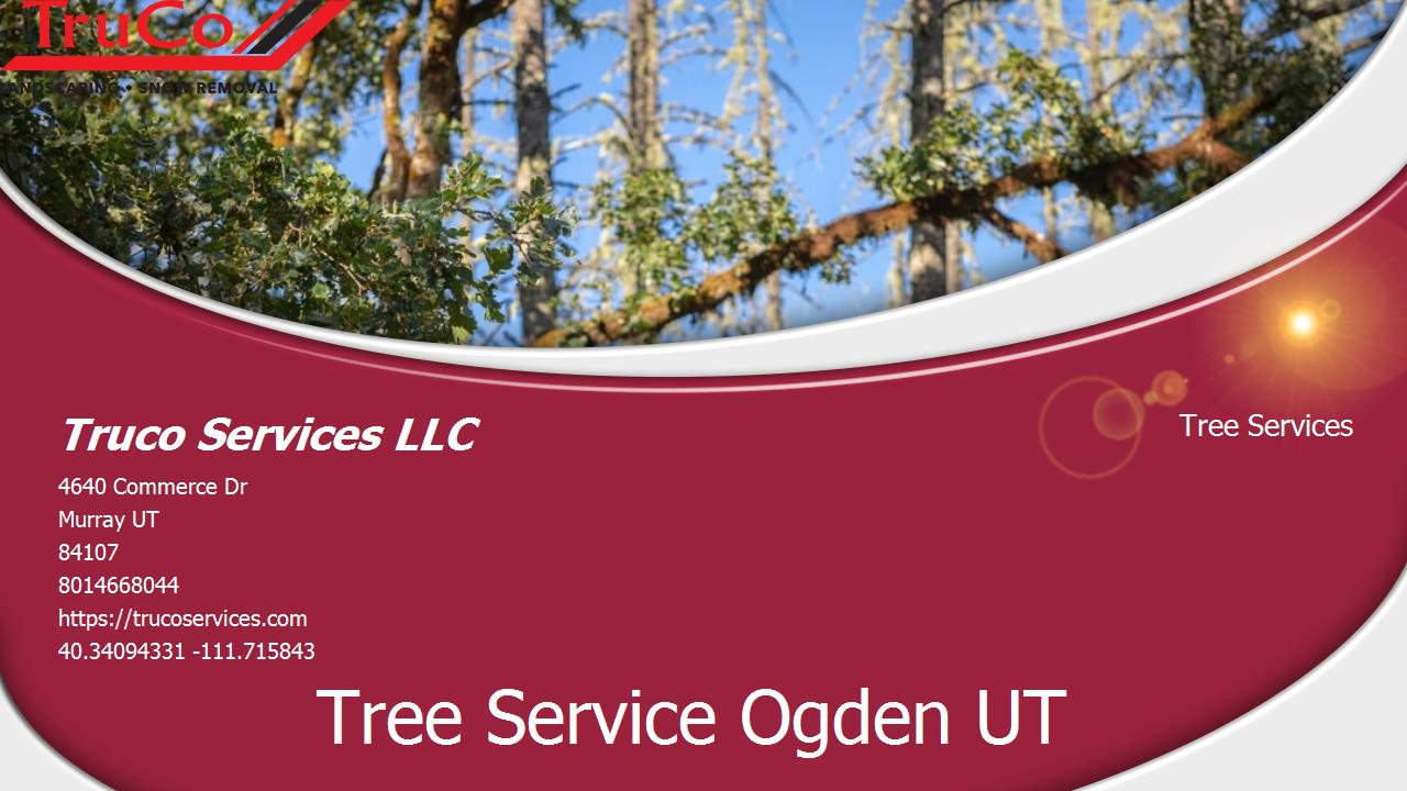 Tree Experts Midway UT