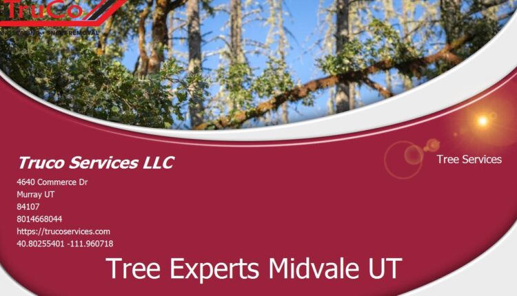 Tree Landscape Service Ogden UT