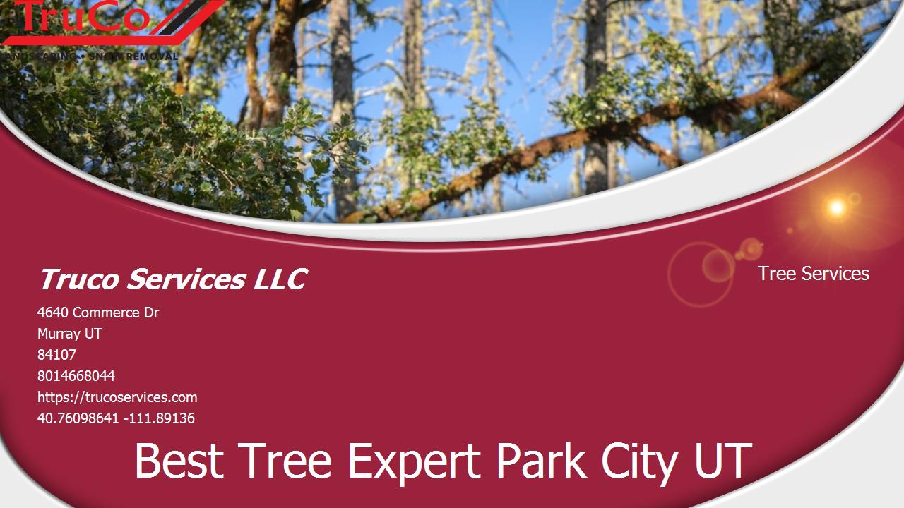 Tree Landscape Service Tooele UT
